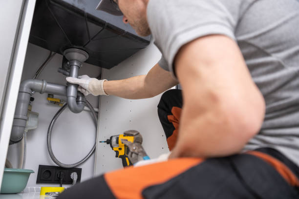 Best Plumbing System Maintenance  in Tellico Plains, TN